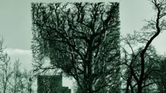 Paisaje con árboles cuadrados y normales