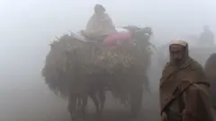 लाहौर शहर की एक बैलगाड़ी