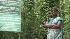 వెన్నెల