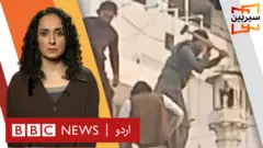 سیربین