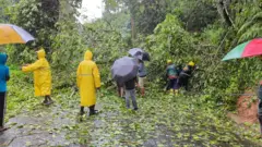 කාලගුණ විද්‍යා දෙපාර්තමේන්තුවේ අධ්‍යක්ෂ ජනරාල් අතුල කරුණානායක ප්‍රකාශ කළේ, දිවයිනට ඈතින් ත්‍රිකුණාමලයේ සිට ඊසාන දිසාවෙන් මුහුදේ පැවති අඩු පීඩන කලාපය, පීඩන අවපාතයක් බවට පත් වී බංග්ලාදේශ වෙරළබඩ තීරයට ඇතුළු වීම තද සුළං තත්ත්වයක් ඇති වීමට හේතු වූ බව ය.