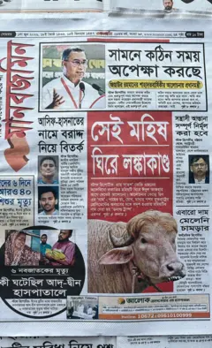 মানবজমিন