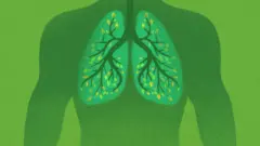 Ilustración de pulmones verdes llenos de plantas.