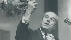 ڈوکسی ایڈس