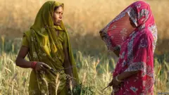 प्रातिनिधिक फोटो