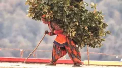 घसियारी