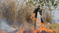 Incendio no Pantanal