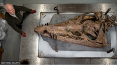 Стив Этчес с черепом