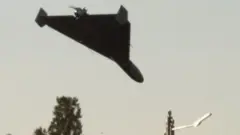 پهپاد شاهد