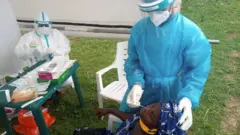 Coronavirus testing
