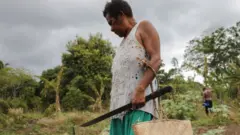 sistem pangan berkelanjutan