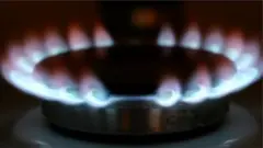 গ্যাসের চুলা