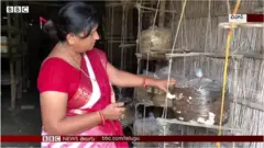 మనోరమా సింగ్