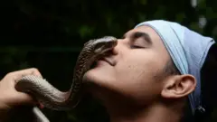 snakes