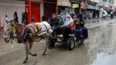 ተመዛበልቲ ፍልስጤማውያን ብዓረብያ ፈረስ