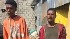 Namoota yakka raawwachuun shakkamanii to'ataman