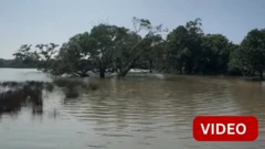 இலங்கை: பெரு வெள்ளத்தால் கடுமையாக பாதிக்கப்பட்ட வில்பத்து தேசிய சரணாலயம்