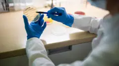 Microbióloga com máscara e luvas protetoras sustenta uma placa de Petri com cultivo bacteriano no laboratório.