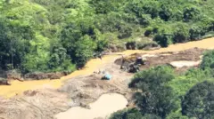 Penambangan emas ilegal merusak hutan di Kecamatan Nalo Tantan, Kabupaten Merangin.