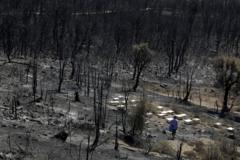 85% des personnes exposées vivent en Afrique : comment le continent est devenu l'épicentre mondial des feux de forêt