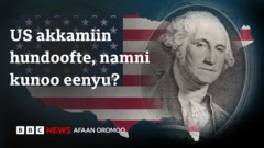 Hundeeffama USA