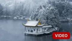 பனிப்போர்வை போர்த்திய காடு... பிரமிக்க வைக்கும் சீன நகரம்! 
