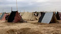 بلخ