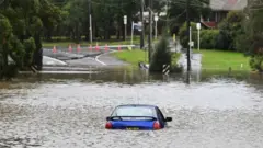 Abandoned car in Western Sydney, Australia, 03 July 2022