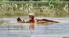 बिहार बाढ़