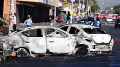 Qabeenya lammiilee boyyota abmaa Afrikaa Kibbaatti gubatanii fi saamamaa turan