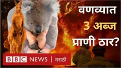 काही प्रजाती नामशेष झाल्या असण्याचा धोकाही आहे.