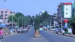 ከተማ ነቀምት