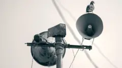 кабутар ва мегафон