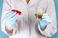 சிறுநீரகம்