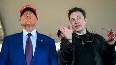Donald Trump usando um boné vermelho com a inscrição Make America Great Again ao lado de Elon Musk, que está falando e gesticulando.