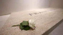 Rosa branca em cima de túmulo do papa Francisco