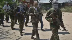 Loltoota al-Shabaab