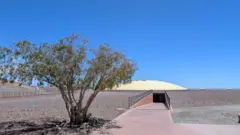 Un árbol en primer plano, con la cúpula de la residencia de científicos detrás.