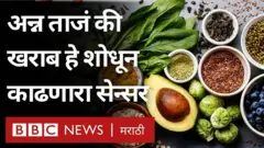 अन्न, खाद्यपदार्थ