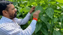 शेतकरी शिवप्रसाद नवले