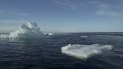 arctic sea
