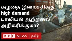 கழுதை கறி சாப்பிட்டால் பாலியல் ஆற்றல் அதிகரிக்குமா? - ஆந்திராவில் அமோக விற்பனை