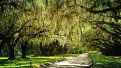 Museum yang dibangun selama 2.300 tahun.