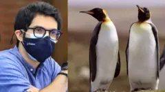 आदित्य ठाकरे