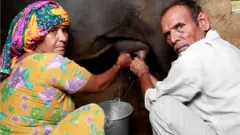 দুগ্ধদোহন