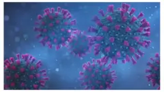 Viruses