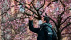 ஸ்வீடன்