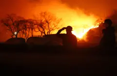 آتش سوزی طبیعی در کره‌جنوبی