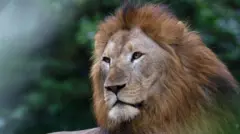 வண்டலூர் உயிரியல் பூங்கா