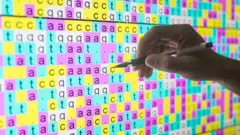 Los científicos lograron leer el orden de los 3.000 millones de pares de bases o bloques de construcción del ADN en el genoma humano..